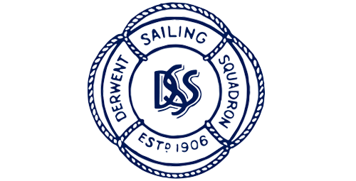 DSS-logo-2