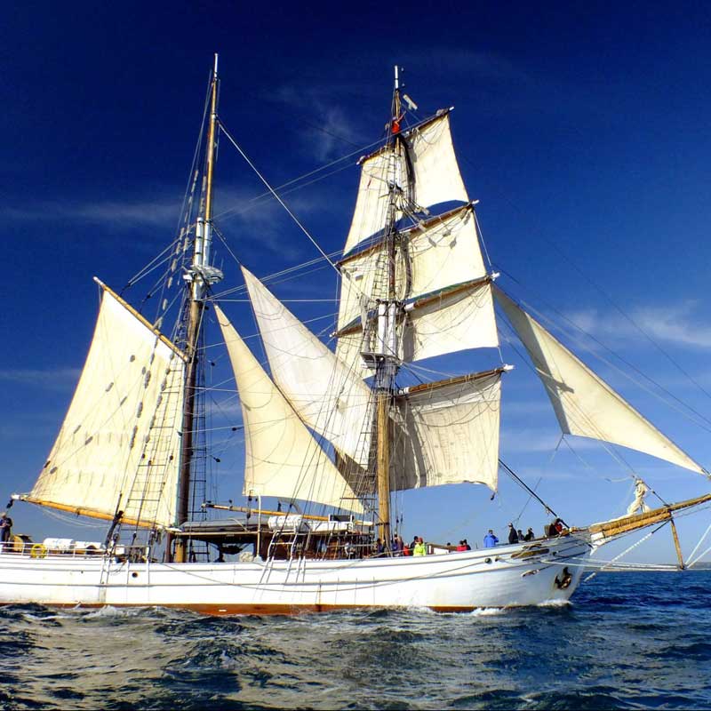 tall ships tour 2023